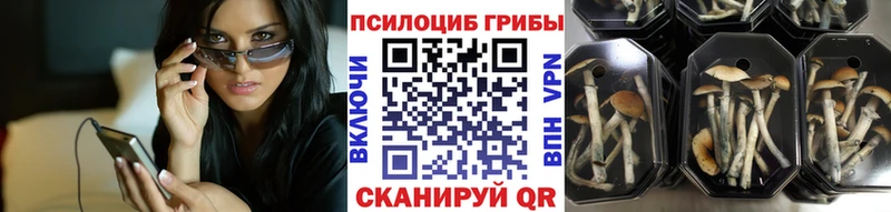 Галлюциногенные грибы MAGIC MUSHROOMS  Купить где  Зея 